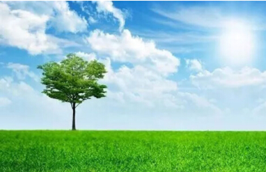 上海10月1日起試行實(shí)施：揮發(fā)性有機物治理設施運行管理技術(shù)規范